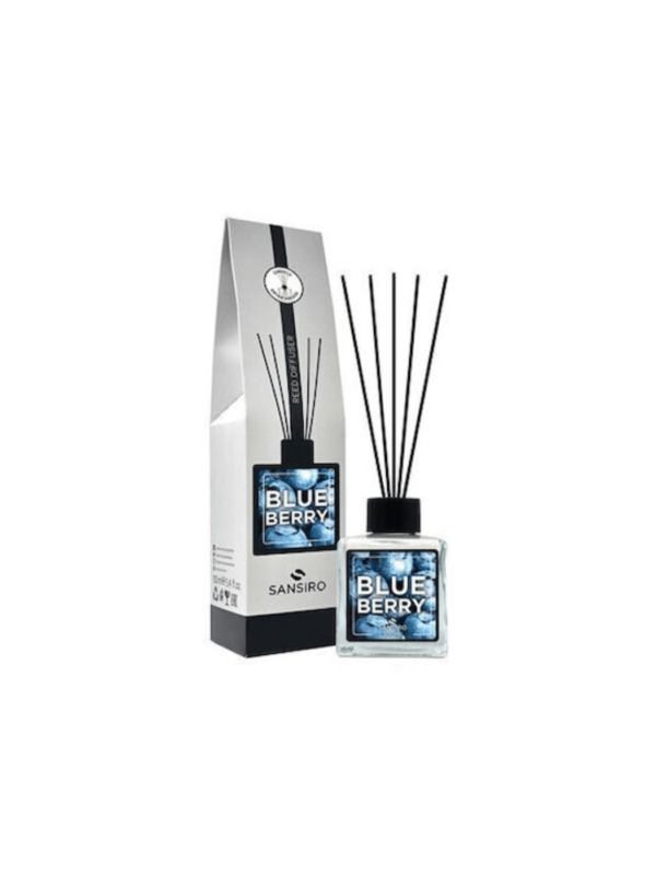 Αρωματικό Χώρου Bluberry με Sticks 100ml